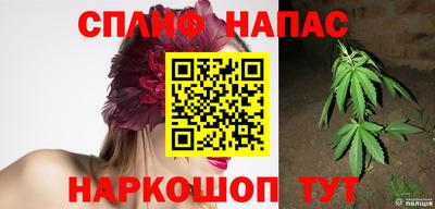 стаф Заводоуковск