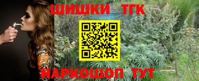 стаф Заводоуковск