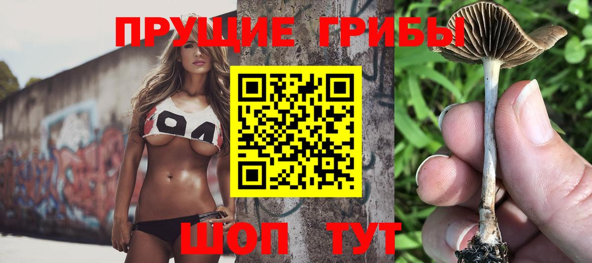 Псилоцибиновые грибы Psilocybe Заринск