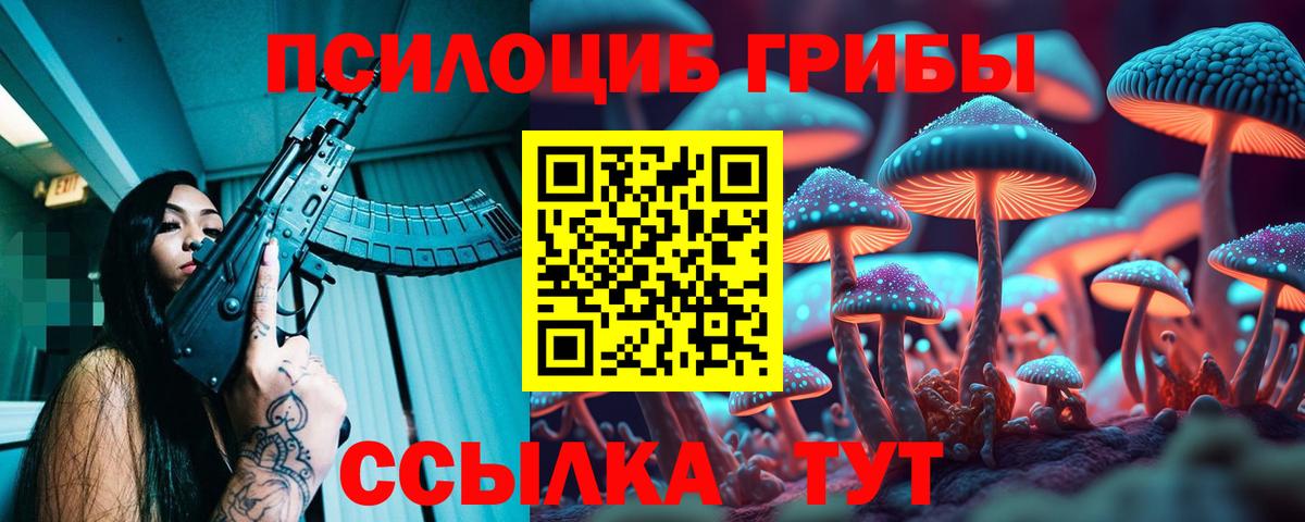 Заринск  закладки  Вход с VPN  Псилоцибиновые грибы Psilocybe 